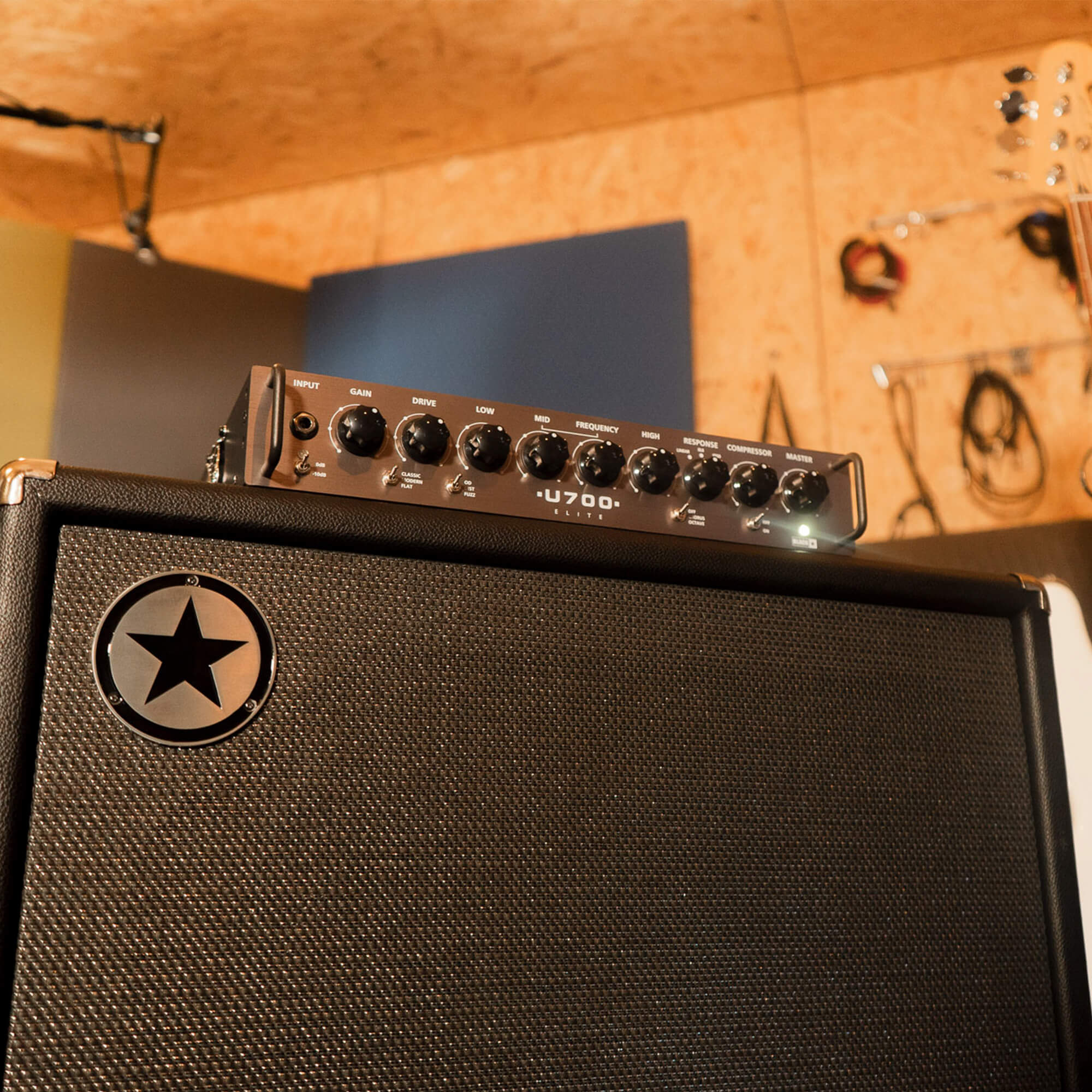 U210C Elite Bass Cabinet - Image 5